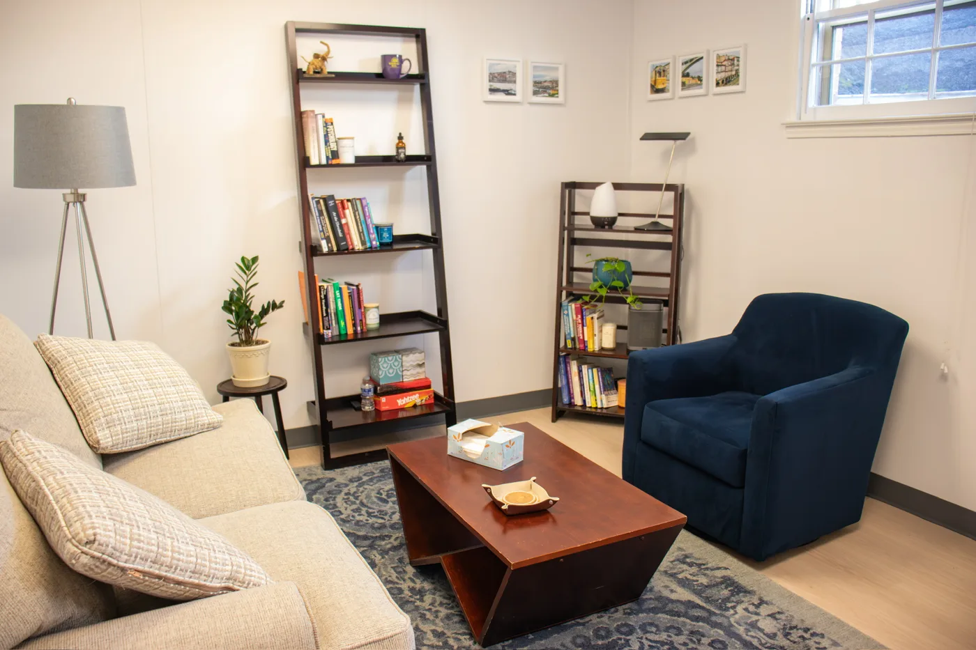 Therapy office at Stephen DiCarlo Therapy in Falls Church, Virginia, with couch, armchair, and bookshelves.
